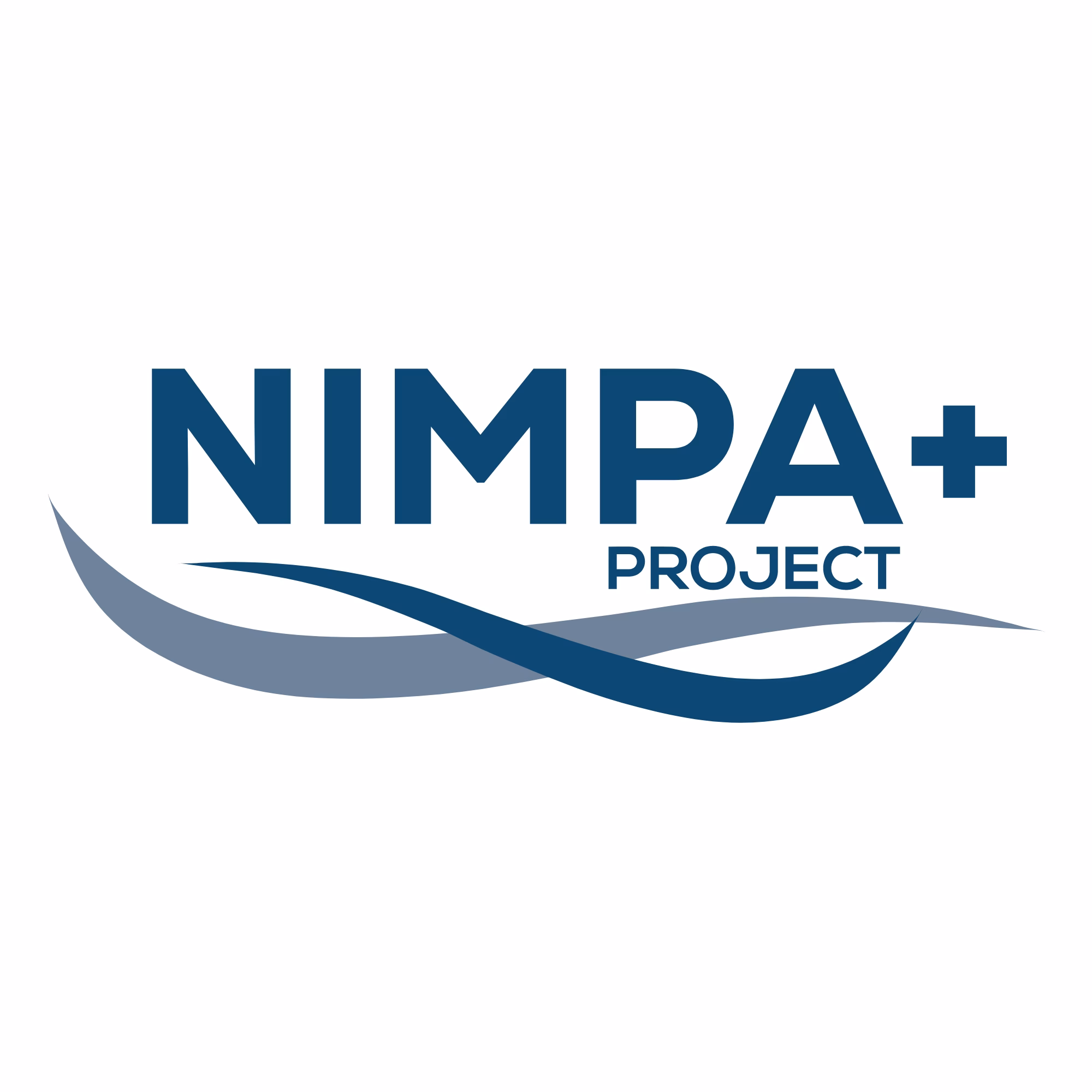 NIMPA+ Launch Video
