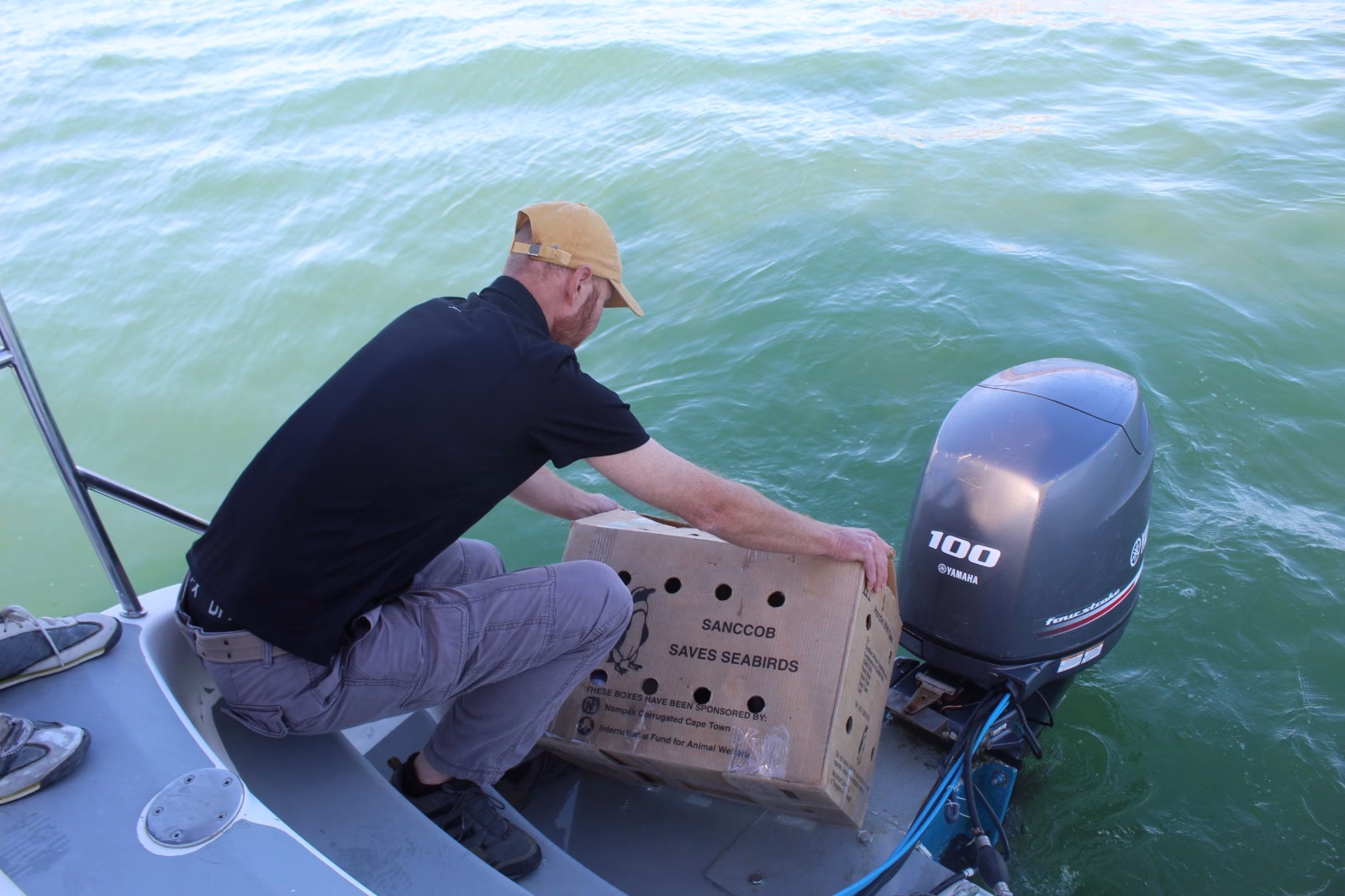 First Rehabilitation Patient Returns to the Wild