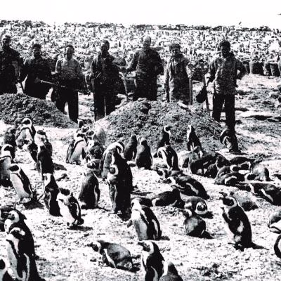Guano harvesting