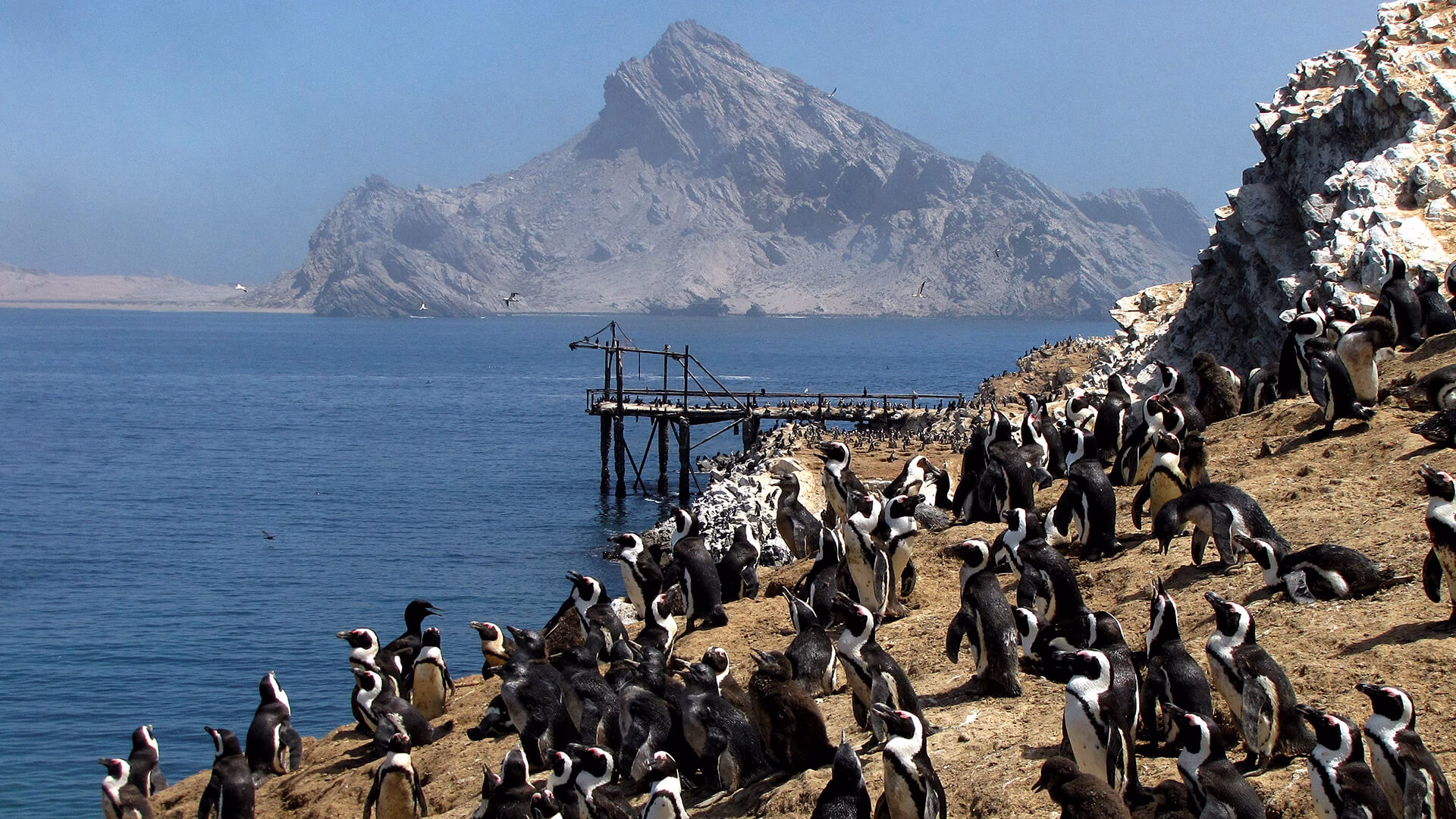 View from Mercury Island towards Spencer Bay©J Kemper