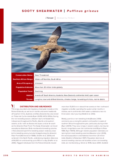 102-Sooty_Shearwater