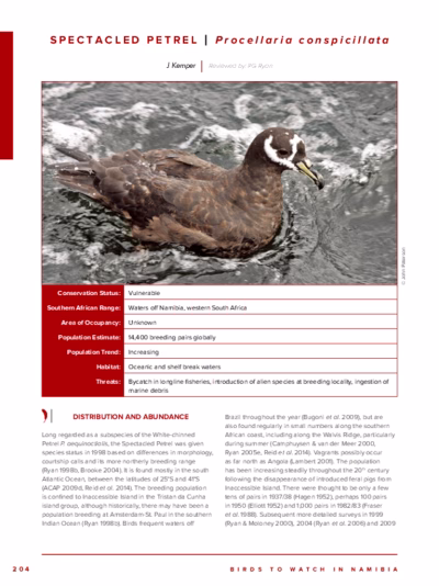 109-Spectacled_Petrel