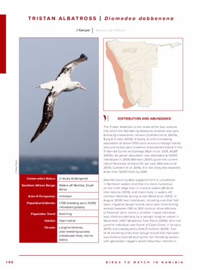 89-Tristan_Albatross