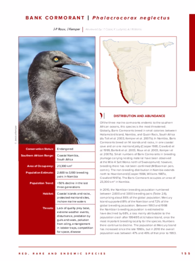 92-Bank_Cormorant