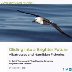 Gliding into a brighter future: albatrosses and Namibian fisheries