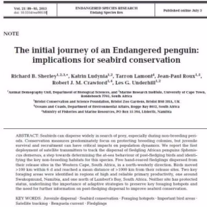 The initial journey of an endangered penguin: implications for seabird conservation