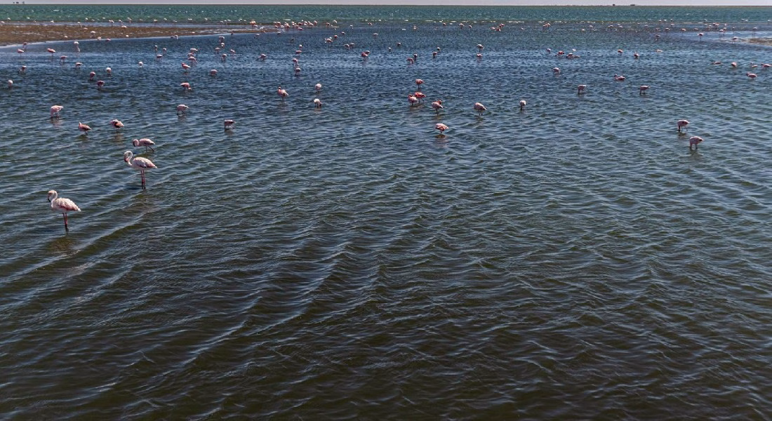 walvis-bay-namibia