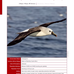 First-page preview of Atlantic Yellow-nosed Albatross — Red Data Book species account