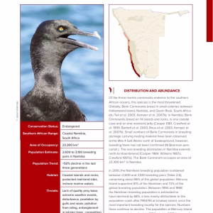 First-page preview of Bank Cormorant — Red Data Book species account