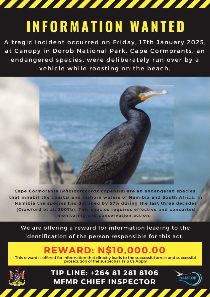 First-page preview of Cape Cormorant Incident at Canopy — Information Notice