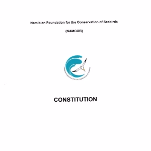 First-page preview of Constitution of NAMCOB
